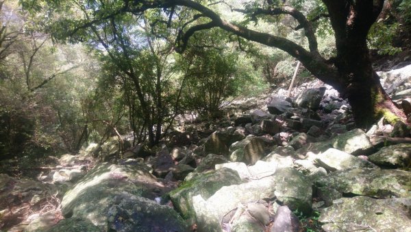 坡很陡的波津加山(老四)1835019