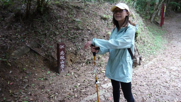 北坑山登山健行趣(中級山)1526339