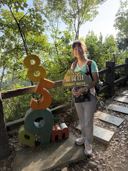 大坑4號上頭嵙山 3號3-1號O繞下山 202609133118734