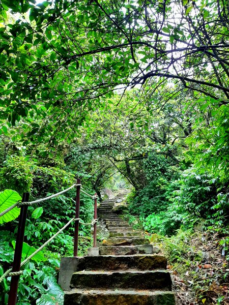 走遍陽明山：擎天崗系｜迷霧中的草原祕境、古道幽境2123773