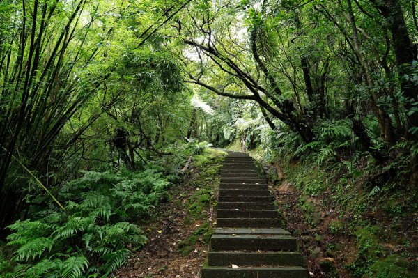 新北 瑞芳 頂子寮山、五分山2615521