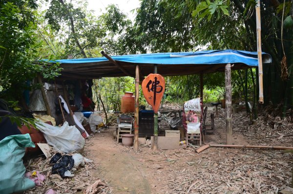 20241231鶯歌尖山-崧嵩嶺-忠義山-鶯歌蛋山-山仔頂山2679969