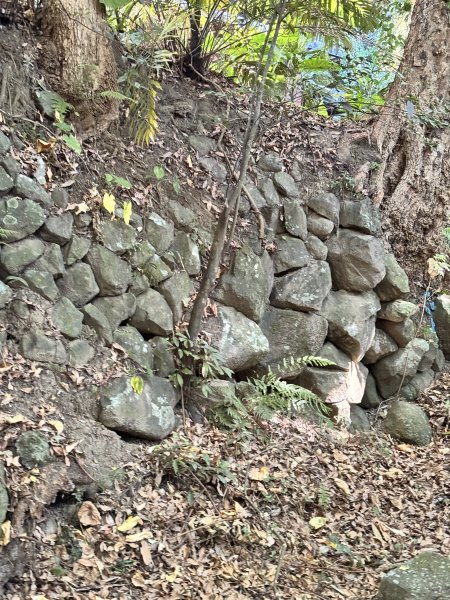 天母古道 + 紗帽山2913883