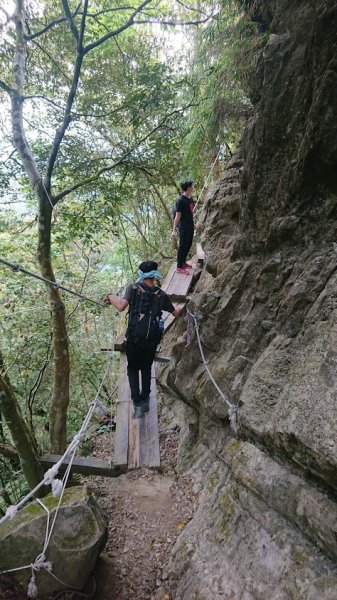 梅峰古道+獵鷹尖一線天+伍龍步道938496