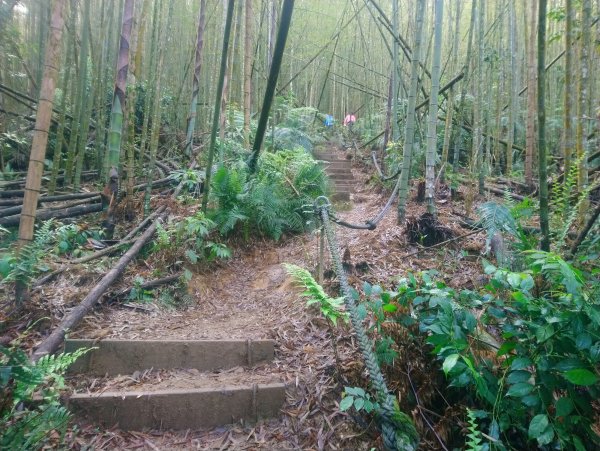 水社大山看雲看杜鵑935392