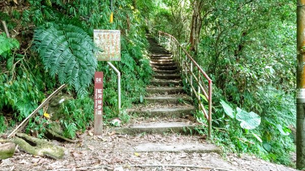 紅河谷步道1793889