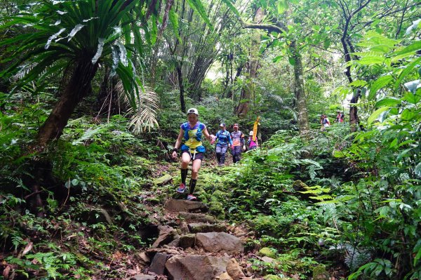 淡蘭古道中路O型988471