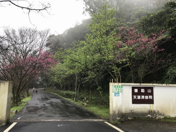 111.3.06 小百岳 汐止大尖山 賞花賞櫻趣1631853