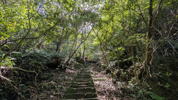 115.07.26孝子山-慈母峰-嶺腳瀑布-望谷瀑布之旅3091115