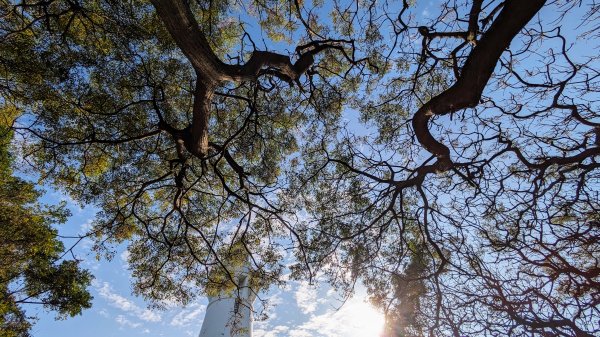 范姜古厝,白沙岬燈塔2371275