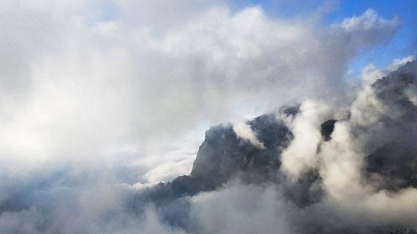 阿里山青年活動中心 櫻花季852386