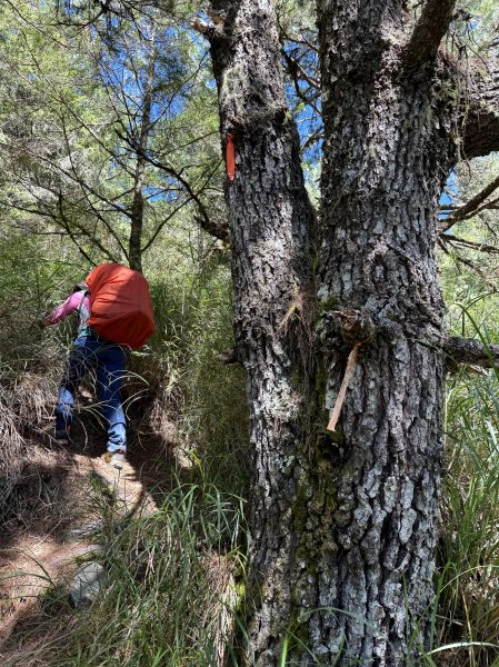 觀雲山莊經小完美谷上畢祿山O繞2917195