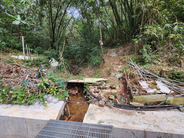 20241229界寮縱走下汐止2721704