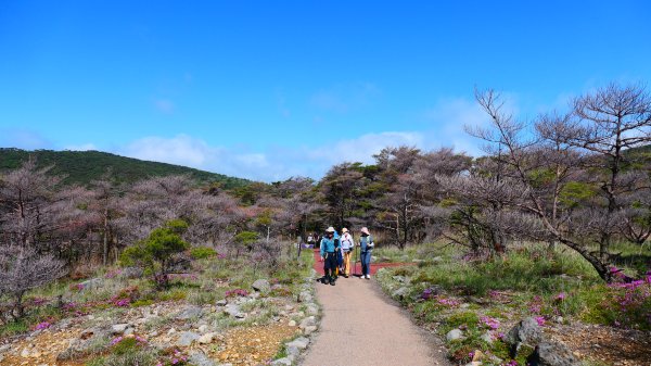 南九州－韓國岳,白鳥山3063930