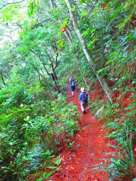 最美的步道名--德芙蘭生態步道625145