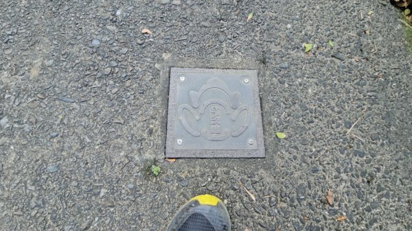 20260210南榮山.獅球嶺砲台群.劉銘傳隧道.天天鮮排骨飯2997121