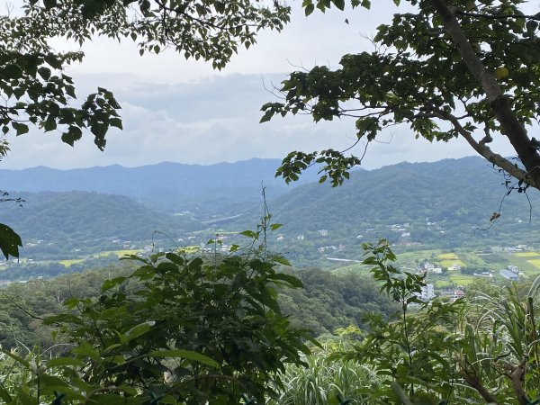 20250706-EP.07石光古道-2025森遊竹縣皮皮獅探險隊2851804