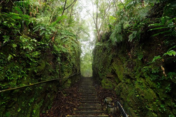 新北 平溪 薯榔尖、石筍尖、魔神仔洞2772528