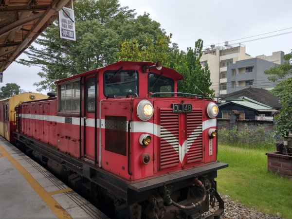 搭阿里山森鐵去登獨立山(小百岳#58)。走大巃頂賞茶園風光 (2020/11/8)1427673