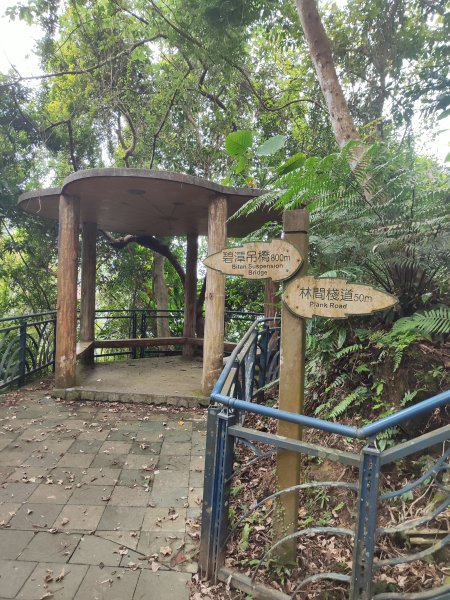 微笑山線：【二格山系】和美山螢火蟲段2834859