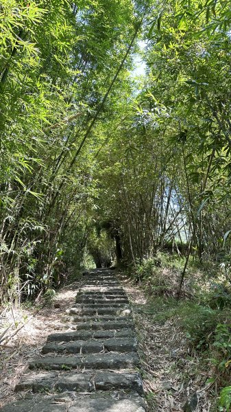 夏日避暑古道→坪頂古圳．坪頂新圳．登峰圳.大崎頭O型2285707