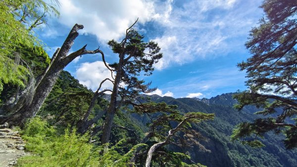 玉山北/西峰（排雲雲海/夕陽/下雨）1496064