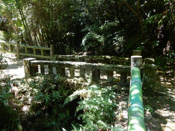 燕溪古道+金面山步道+圓明寺步道O型1030890