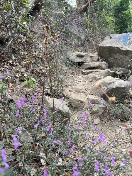 小百岳-里龍山2752581