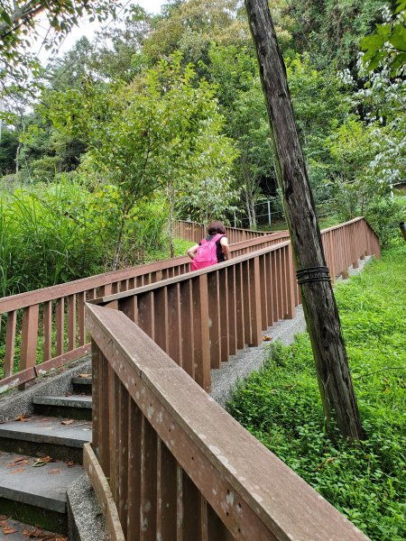 【南投|貓囒山】1049751