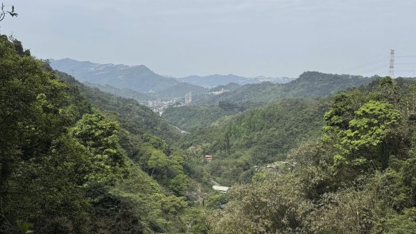 20250404銀河洞越嶺登山步道2752978