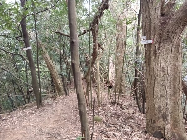 寶山鄉寶山水庫(寶山東峰+中峰+中西峰+西峰+西北峰)+尖山O型3012544