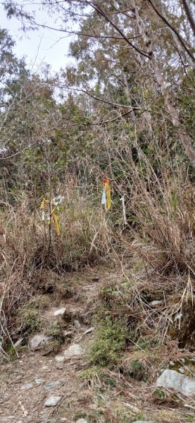 2025 3/1 三星山2723851