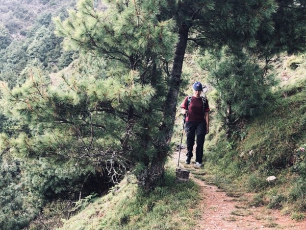 輕鬆享大景—鹿林山/麟趾山連走1486629