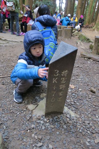 特富野古道234882