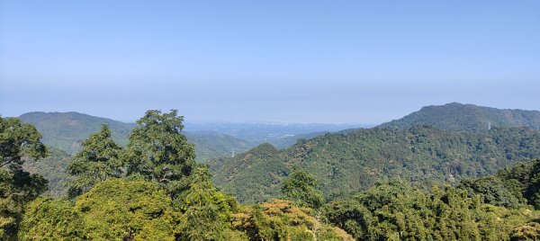 新竹 五指山