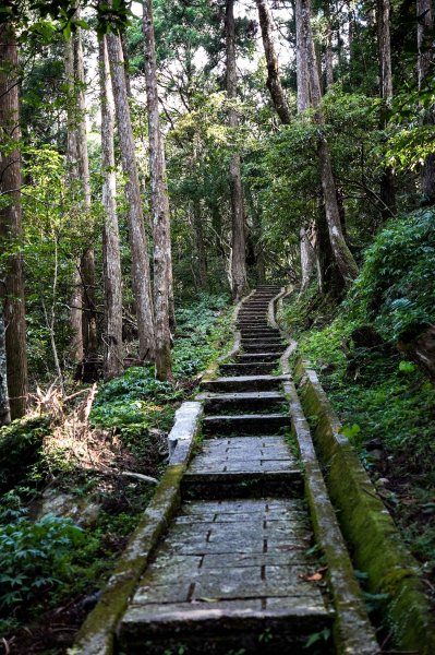 滿月圓森林步道2870084