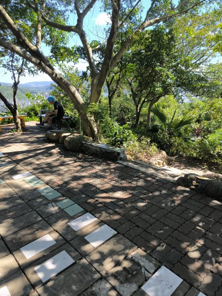 20250906泰山辭修公園、尖棟山、69步道、瓊仔胡2879485