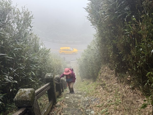 七星山 冷水坑上小油坑下環七星山人車分道O繞 202511082934904