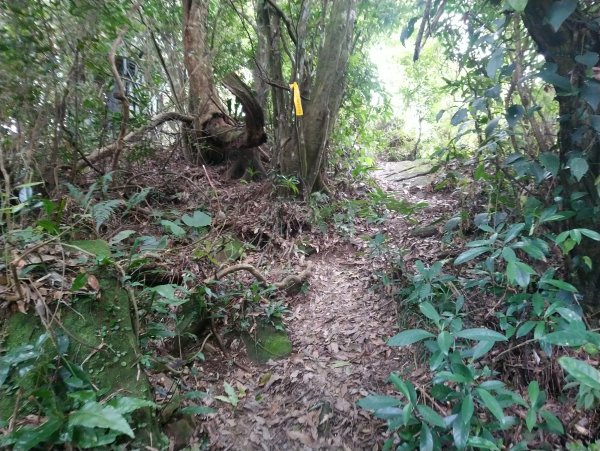 暗影山 小百岳 三等三角點4181690866