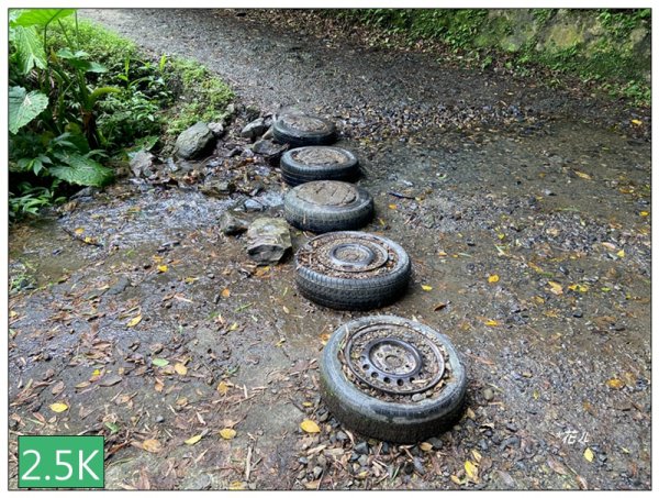 聖母峰、三角崙山 (抹茶山) 連走2802185