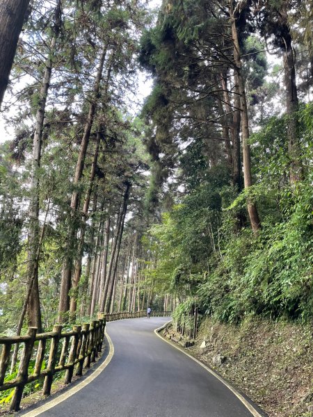 2度強渡關山未竟之藤枝國家森林遊樂區 多納部落 新威森林公園輕鬆走1880502