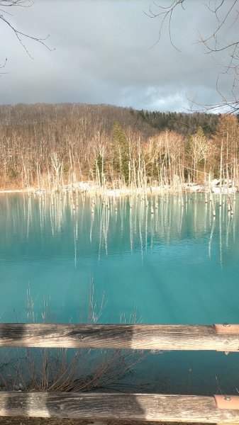 日本北海道青池2759843