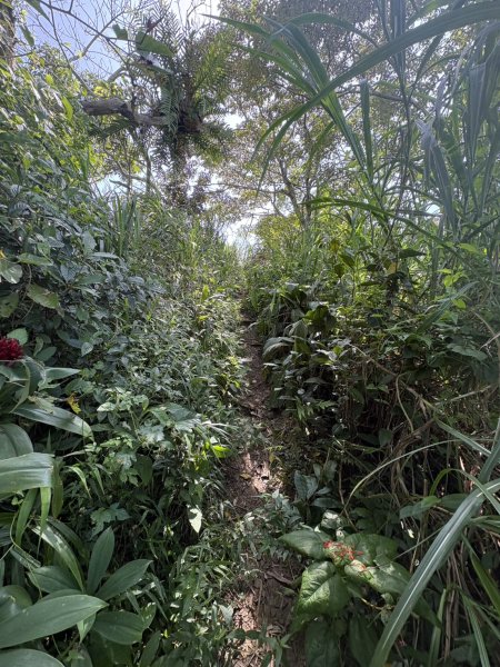 20251011台南刣牛湖山登山步道2915063