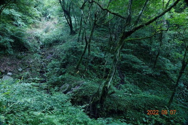 宜蘭 大同 佐得寒山1798060