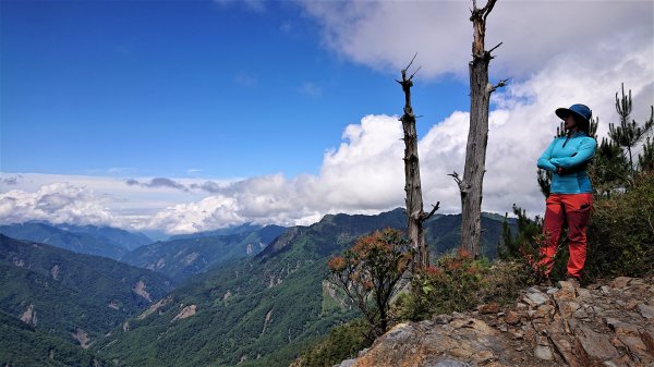 悠遊高山與中級山間的山旅健行在塔塔加玉山前峰及鹿林麟趾山1359915