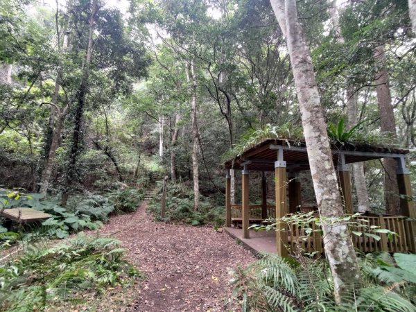 【新竹縣尖石鄉】秀巒軍艦岩步道2833657