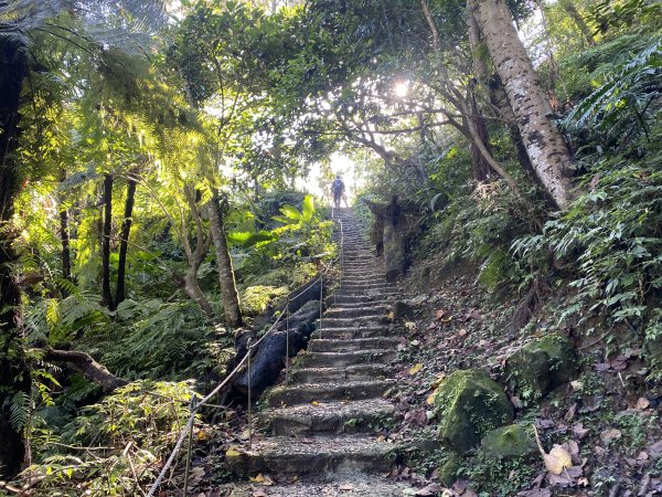 2025微笑山線大縱走尋寶集章任務-Ep.04【天上山系】望月亭桐花段｜石門內尖山東峰 ×石門內尖山2979090