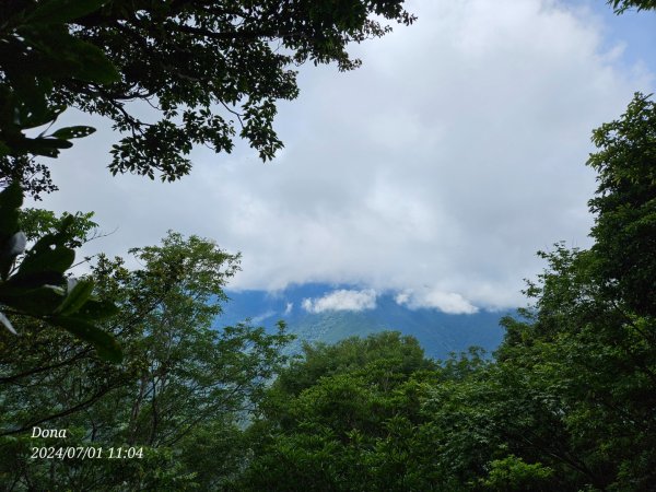 林相優美的油羅山，細數蟬鳴鳥叫2546803