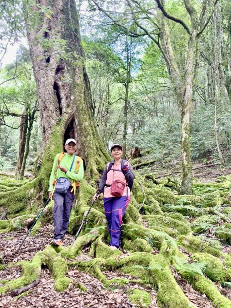 船型山神木悠遊    2025.09.222893816