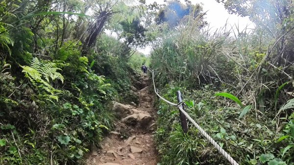 20250501_陽明山東西大縱走-round#32784150